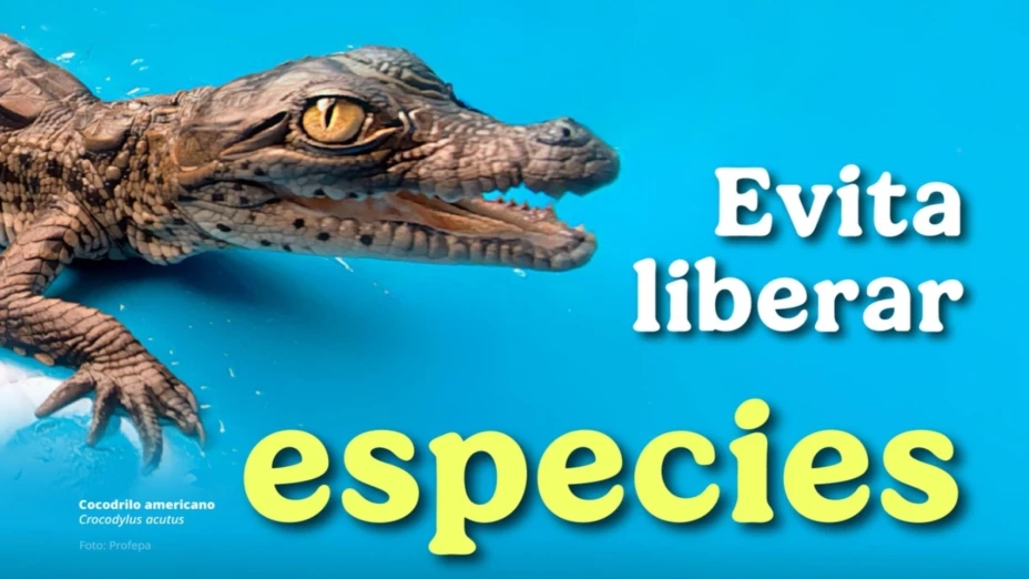 WhatsApp Image 2026-02-25 at 2.3.jpg