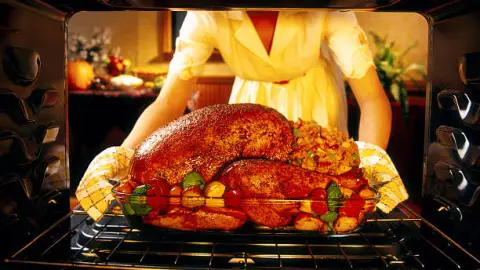 pavo navidad