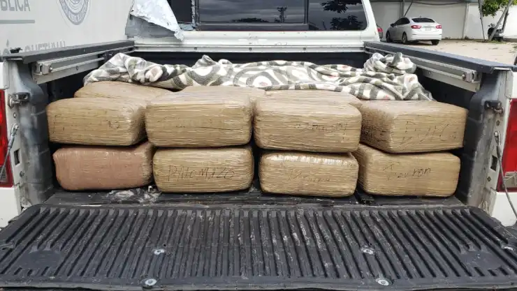 marihuana en quintana roo.jpg