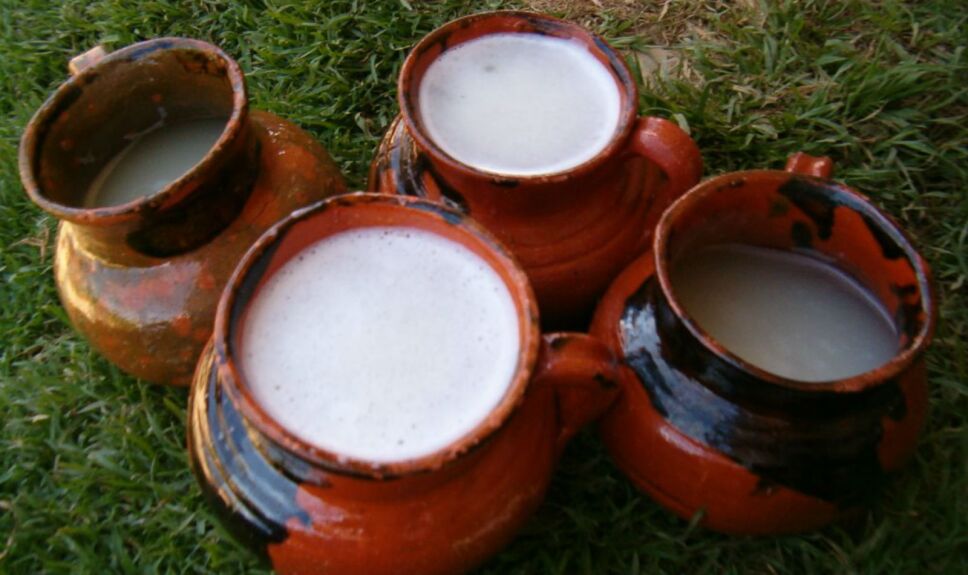 pulque