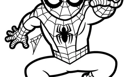 spiderman1.jpg