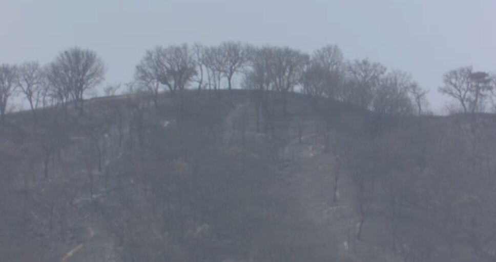Incendio en Bosque de la Primavera.png