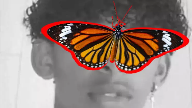 Niño muere en Brasil después de inyectarse una mariposa muerta por un reto viral.jpg