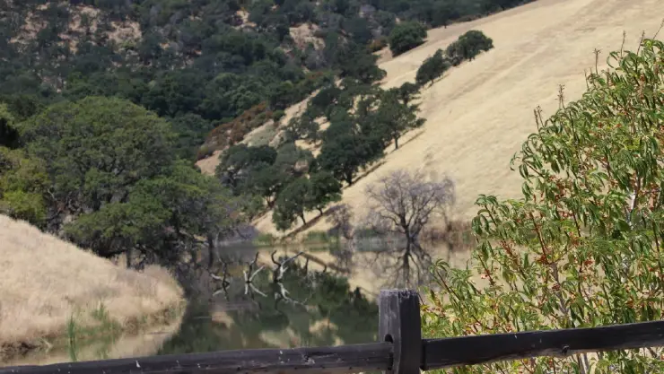 la bonita reserva hídrica llamada Los Vaqueros en California