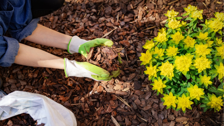 /estilo-de-vida/proteger-suelo-jardin-mantillo-natural-casero