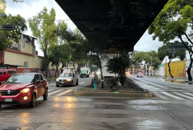 marchas-cdmx-12-agosto