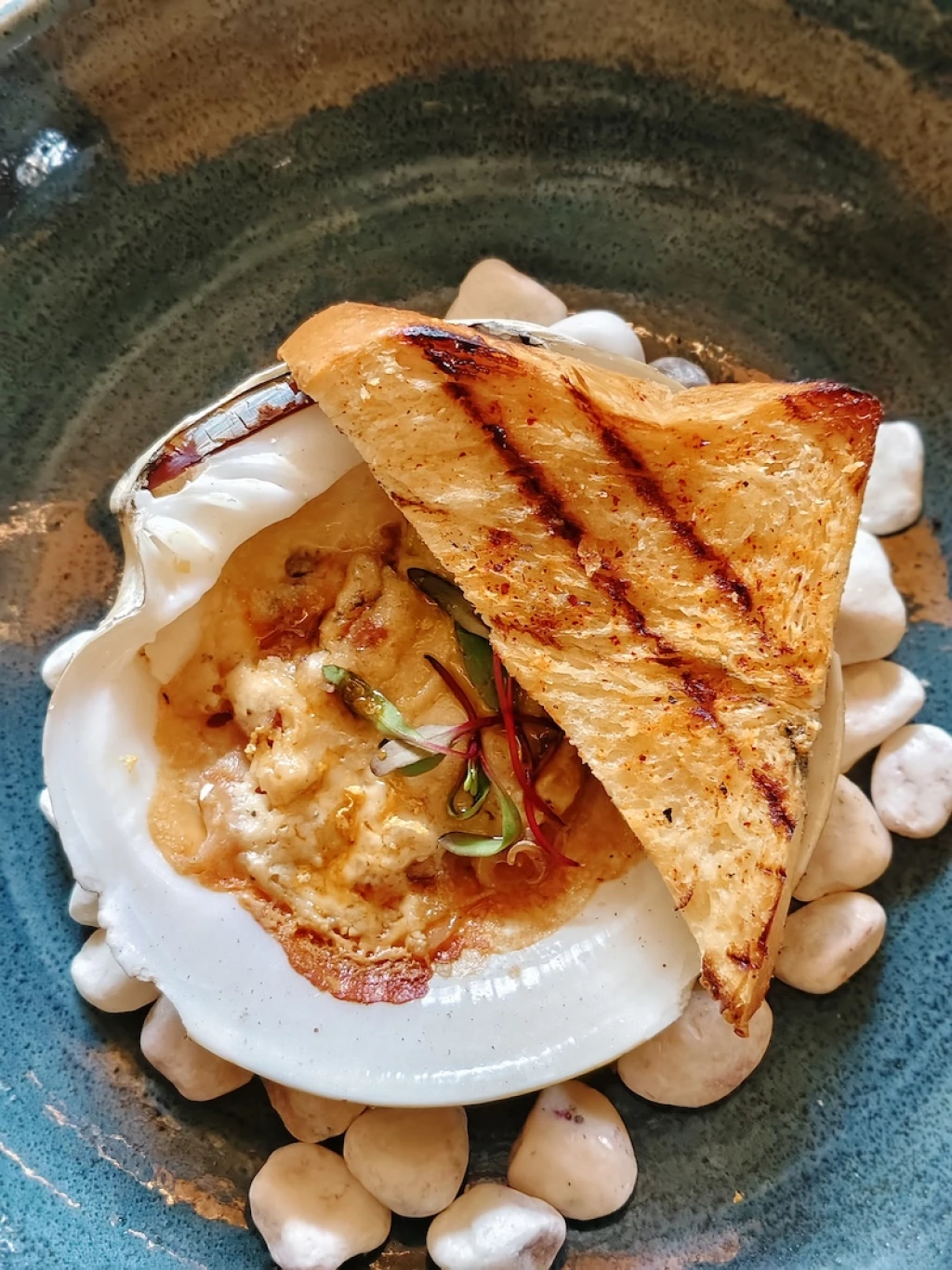 festival de conchas almeja chocolata al grill