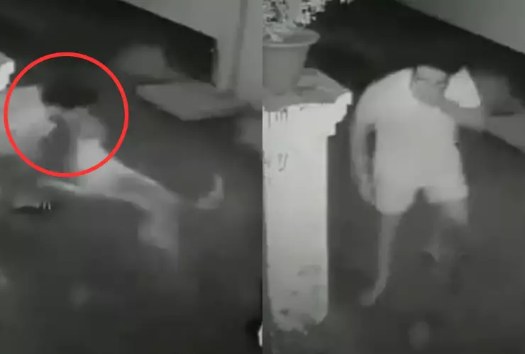 VIDEO | Perro callejero ataca a un hombre en Gorakhpur, India