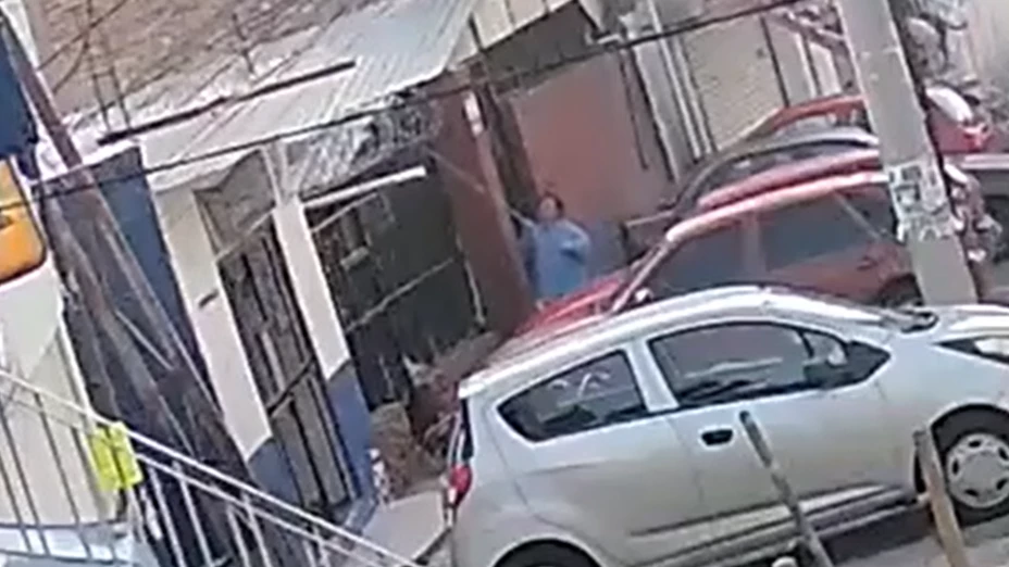 Maltrato animal Gto.png