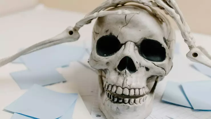 ¡Gran descubrimiento! Cráneo revela que egipcios hacían cirugías contra el cáncer