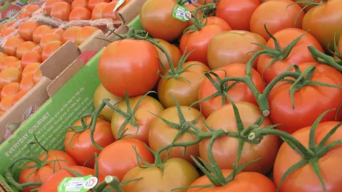 Por los cielos El precio del kilo de jitomate se elevó al cierre de abril de 2025 en Jalisco