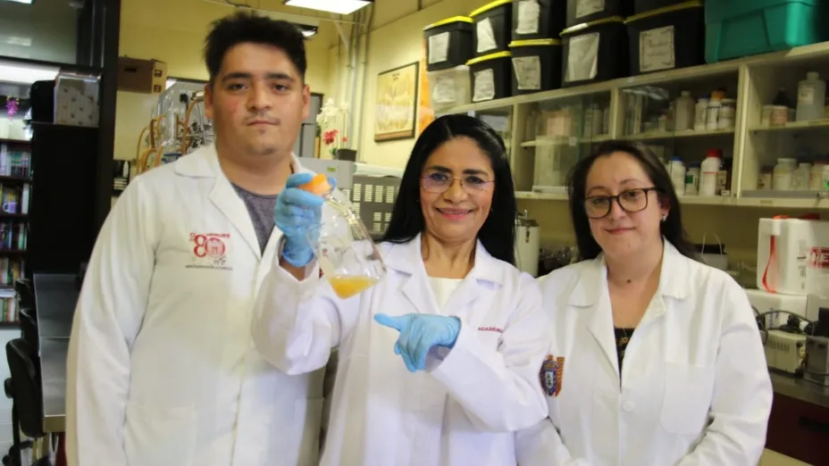 IPN patente1.jpg