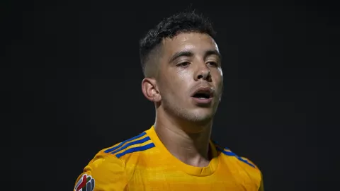 Leo Fernández con Tigres