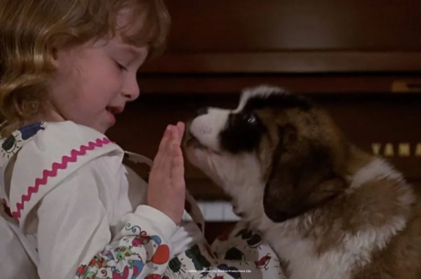 ¿Qué pasó con la actriz Sarah Rose Karr? La recordarás por el personaje de Emily Newton en Beethoven, entérate dónde está ahora.