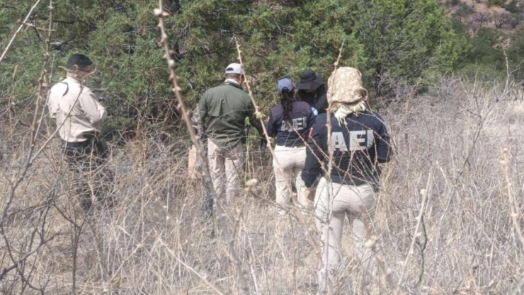 Operativo en la sierra