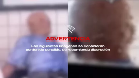 VIDEO ¡IMÁGENES FUERTES! Hombre muere al ser atacado por un enjambre de abejas en Brasil