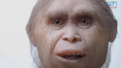 Homo floresiensis era un hobbit