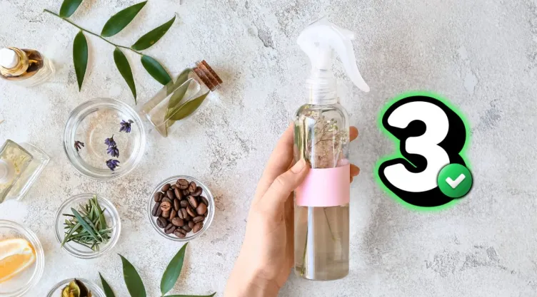 perfume.jpgcomo-hacer-perfume-casero-para-ropa-con-3-ingredientes