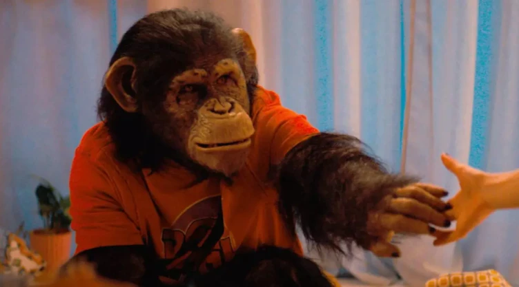 primate