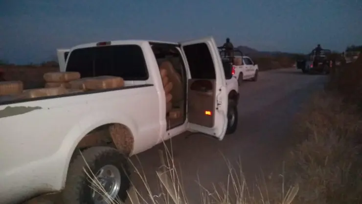 MARIHUANA-ABANDONADA-SONORA.jpg