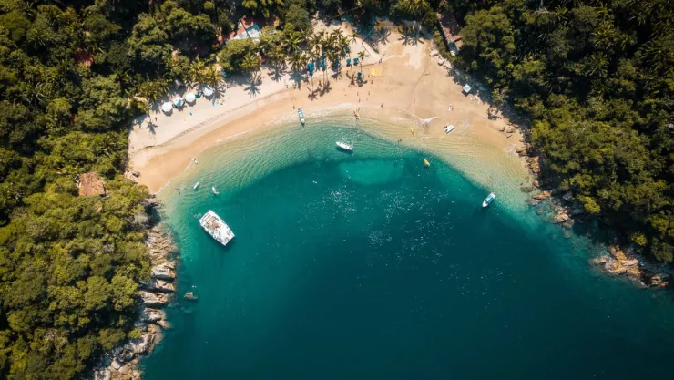 CJNG lidera complejo turístico en Puerto Vallarta