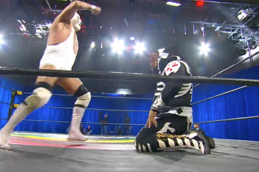 Lucha Fighter