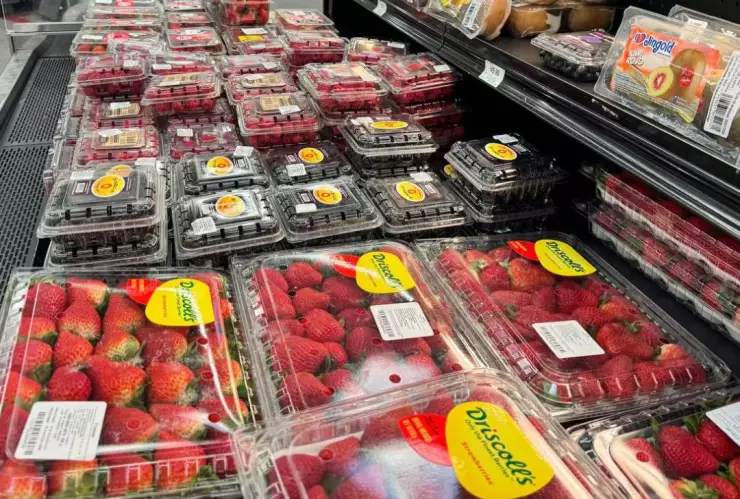 Descuentos en Chedraui por el Martimiércoles