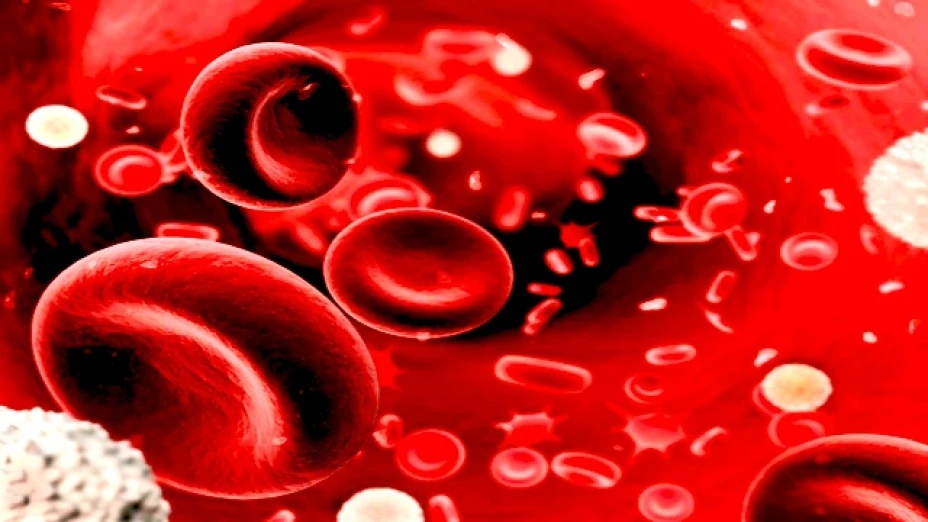 La fabricación a escala industrial de sangre utiliza células madre