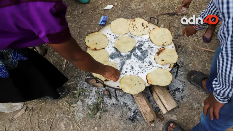 Precio del kilo de tortillas en noviembre en todos los estados