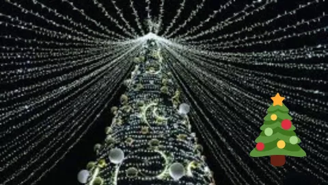 ¿Cuándo es el encendido del árbol de Navidad y decoración en el centro de Aguascalientes 2024?