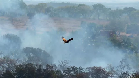 contaminación por incendios amazonas