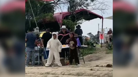 disfraz_perritos_socavon_de_puebla