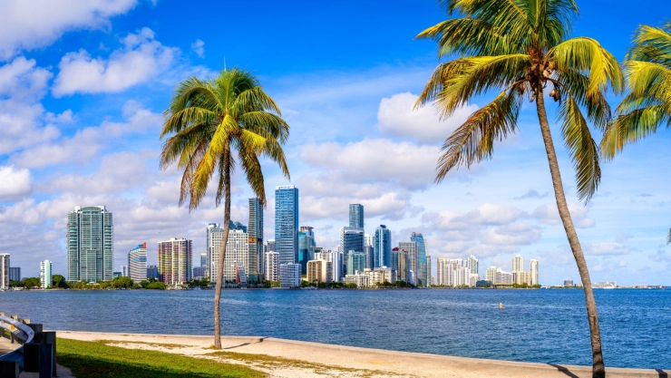 Las palmeras. la playa y el mar en Florida, con la ciudad de Miami de fondo y sus increíbles edificios