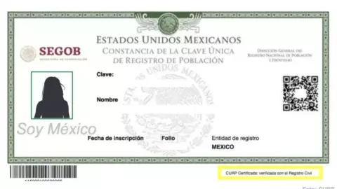 Senado aprueba el CURP con foto, huellas y firma_ Así se verá