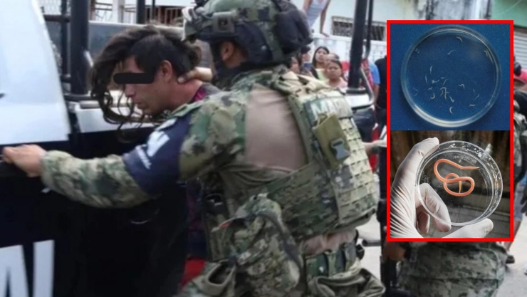 Muere bebé en Veracruz por infección de parásitos: detienen a los padres por abuso sexual y maltrato