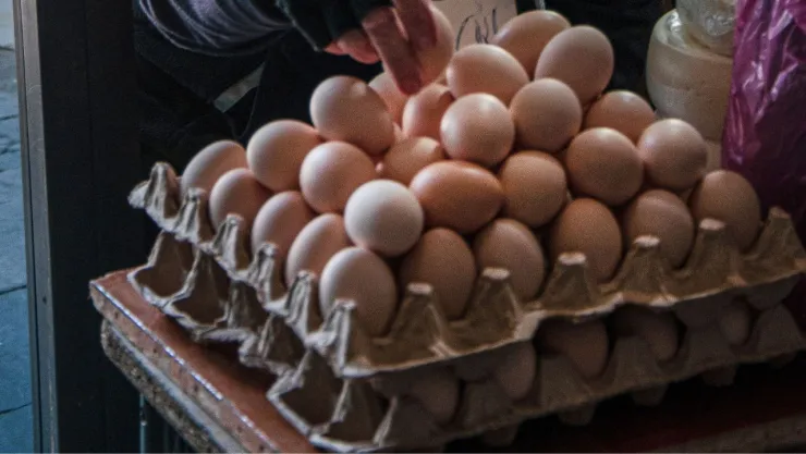 ¿Por qué subió el precio del huevo? Estas son las razones del aumento