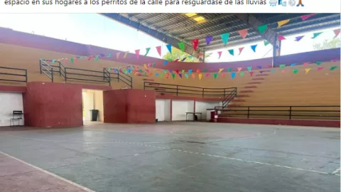 polifuncional refugio perros