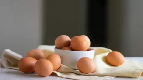 Estos son los principales PRODUCTORES de huevo en México; precio del kilo y distribución