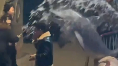 beluga le dio su merecido a hombre que no apagó su cigarro.png