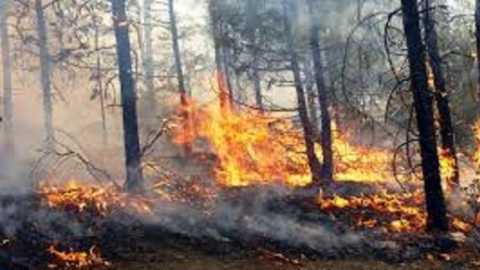 Incendios Forestales