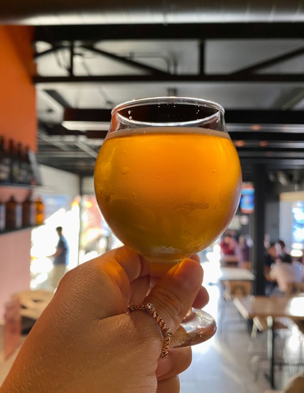 Cervecería Insurgente la Rompeolas