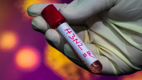 Similitudes H3N2 y COVID 19