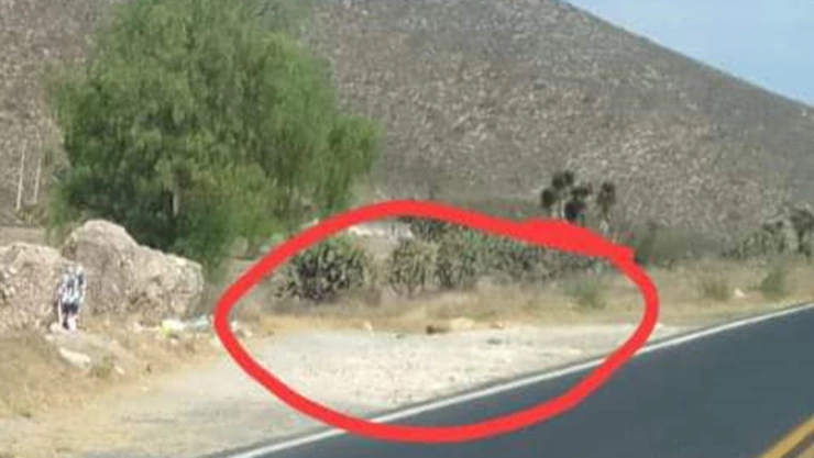 Hallan restos humanos junto a la carretera Azumbilla-El Seco