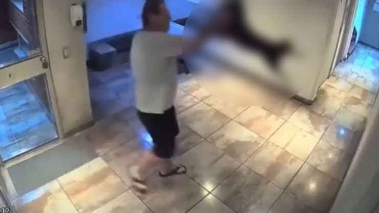 Maltrato animal en Palermo