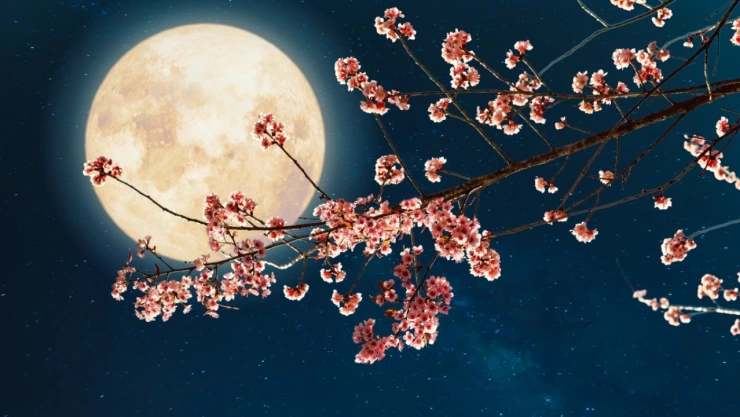 Eventos astronómicos de mayo 2024, luna llena de flores