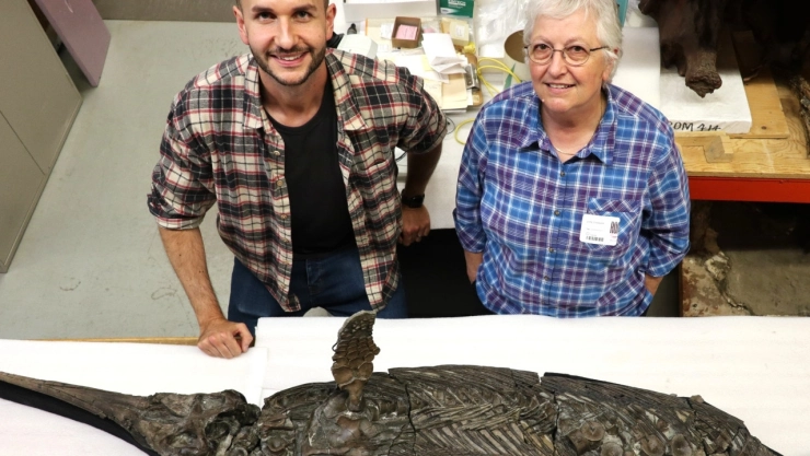 El estudio del fósil Xiphodracon, conocido también como “dragón espada”
