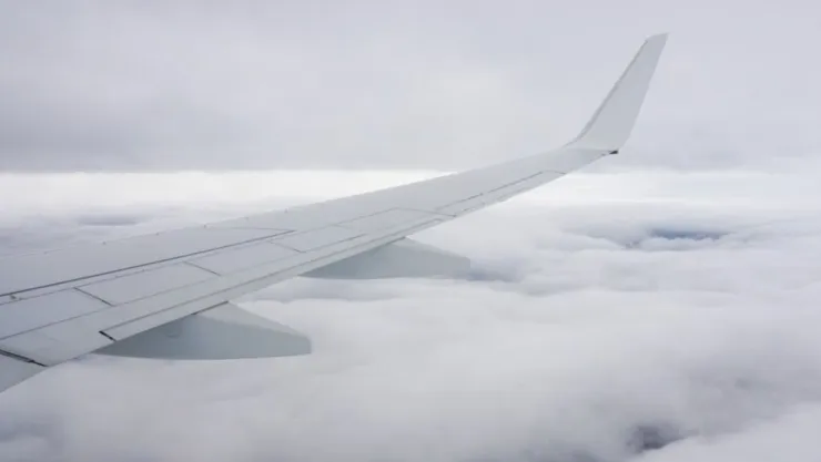 Vuelos en Aeropuerto de Tijuana hoy 4 de febrero de 2025 resultaron afectados por neblina ¿Seguirá la condición el miércoles 5?