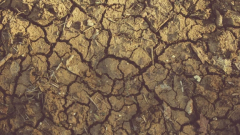 Calor extremo cambio climático