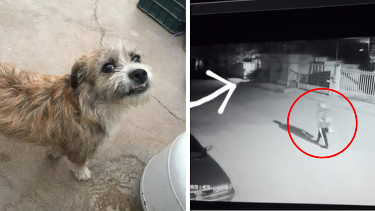 Benji Villa Juárez.jpg