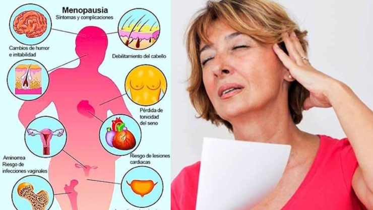 Infografía sobre síntomas de la menopausia junto a imagen de una mujer abanicándose por sofocos.